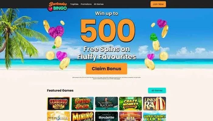 Barbados Bingo Casino Review Header