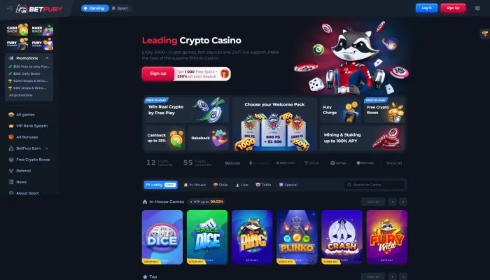 BetFury Casino Review Header