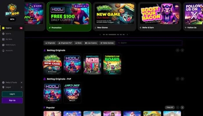 BetHog Casino Review Header