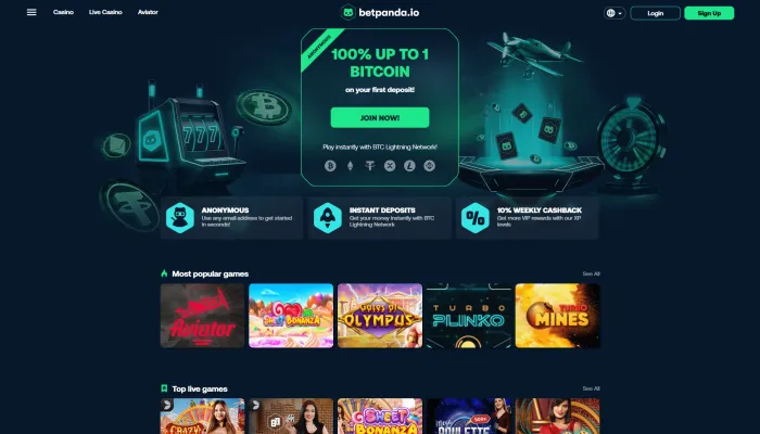 Betpanda.io Casino Review Header