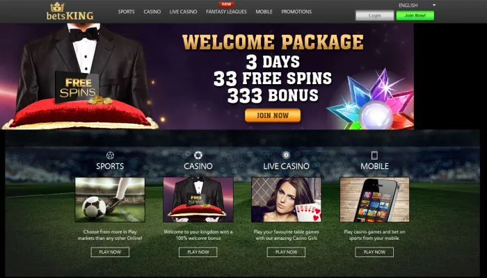 BetsKING Casino Review Header
