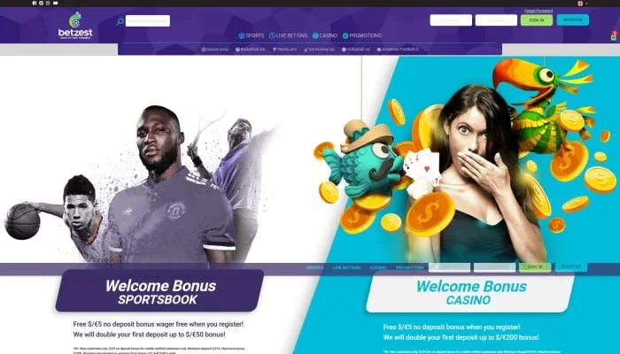 Betzest Casino Review Header