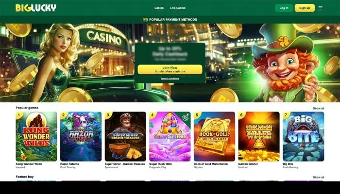 Big Lucky Casino Review Header