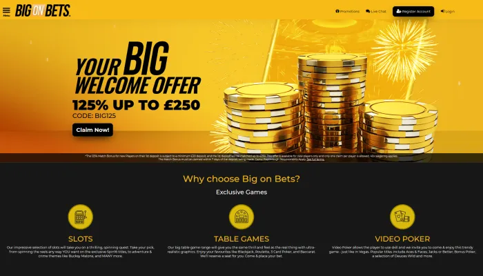 Big on Bets Casino Review Header