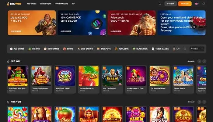 BigWin Casino Review Header