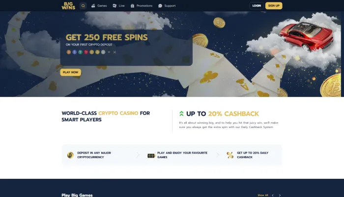 BigWins Casino Review Header