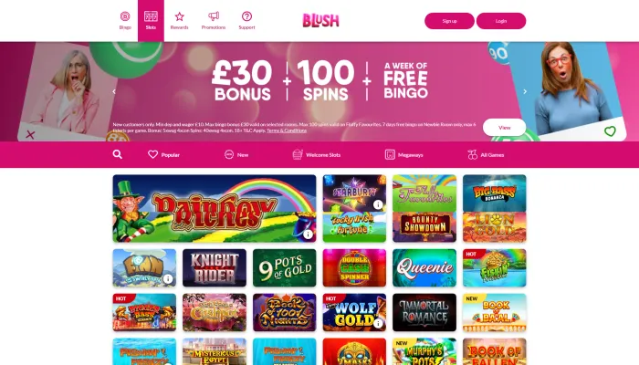 Blush Bingo Casino Review Header