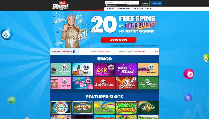 Daily Record Bingo Casino Review Header