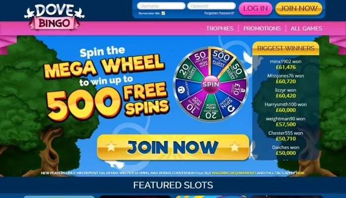 Dove Bingo Casino Review Header