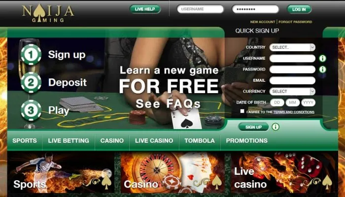 Naija Gaming Casino Review Header