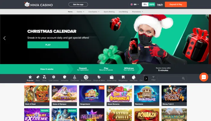 Ninja Casino Review Header