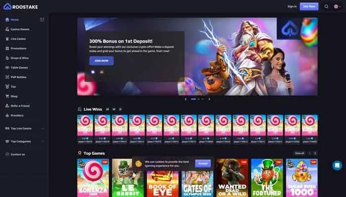 RooStake Casino Review Header