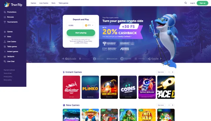 True Flip Casino Review Header