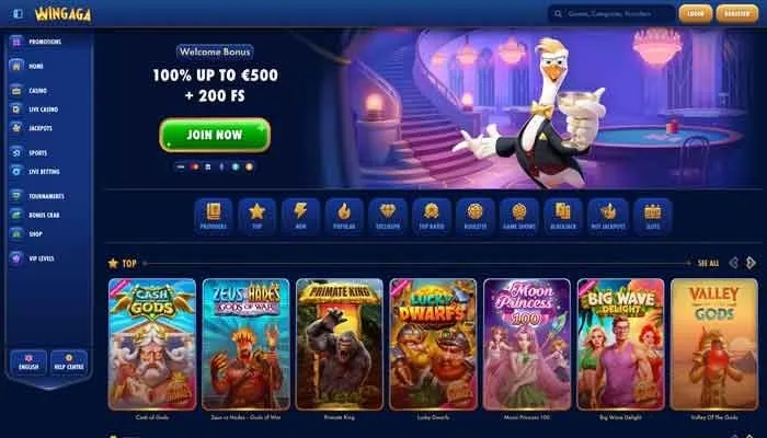 WinGaga Casino Review Header