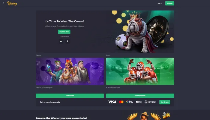 Winning Casino Review Header