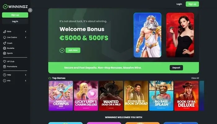 Winningz Casino Review Header