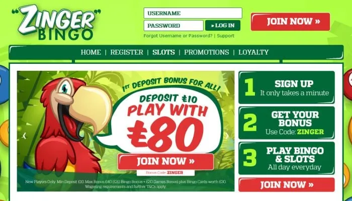 Zinger Bingo Casino Review Header